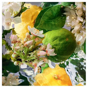 Aqua Allegoria Bergamote Calabria Sprchový gel